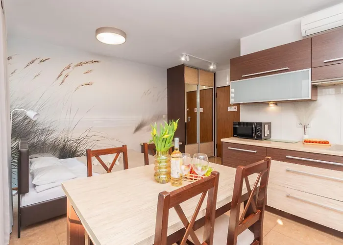 Apartamenty Mierzeja - Baltic Park Stegna, Studio 24M2, 500 M Od Plazy